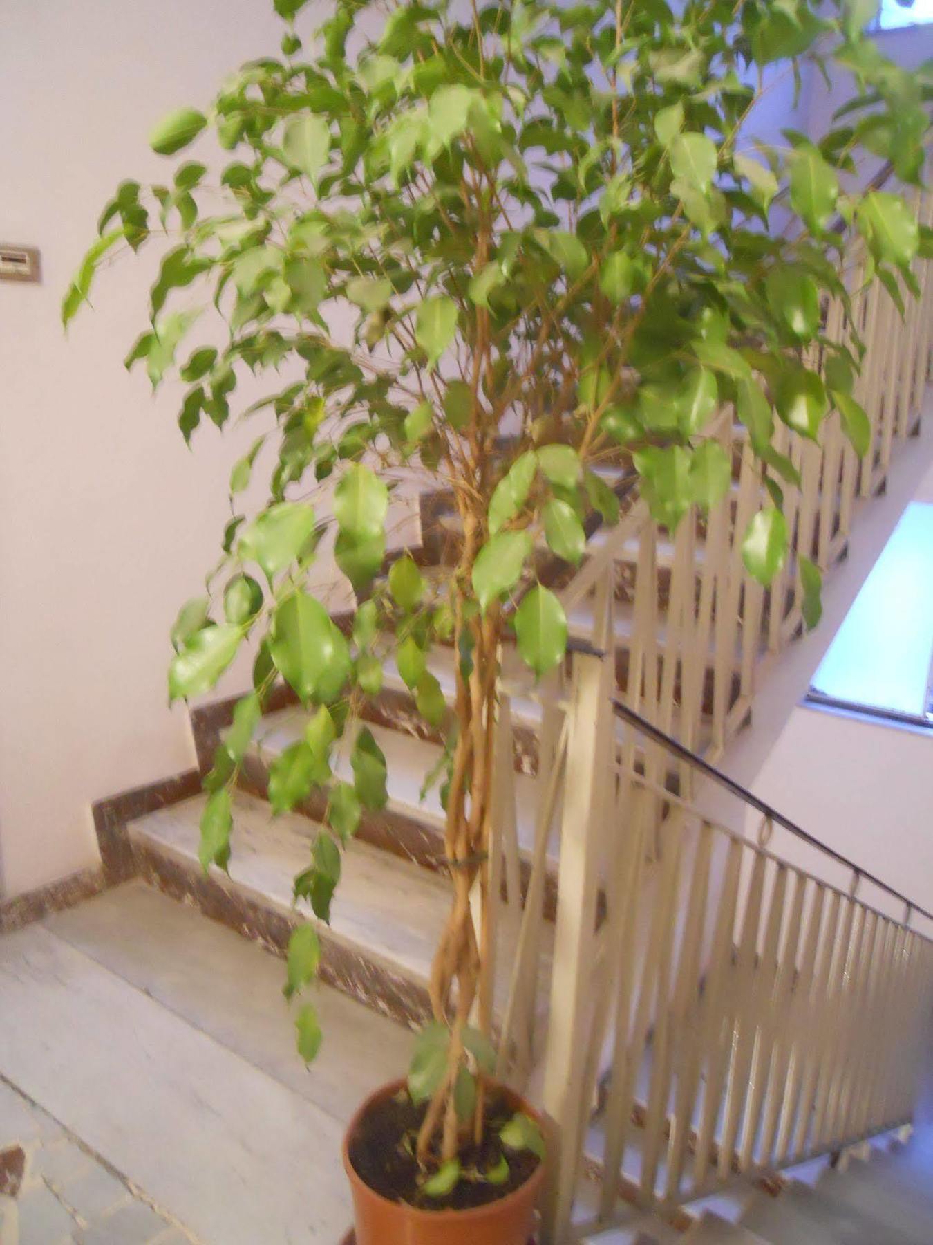 Catania Crossing B&B - Rooms & Comforts Eksteriør bilde